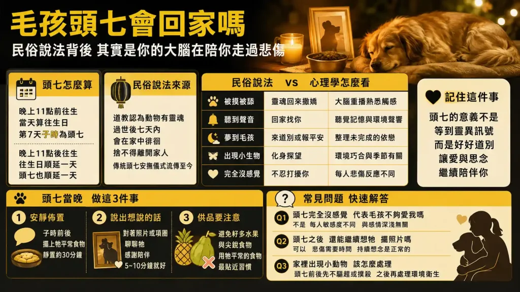 毛孩頭七會回家嗎？民俗說法背後，其實是你的大腦在陪你走過悲傷