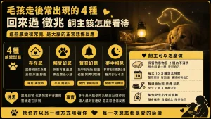 毛孩走後常出現的 4 種「回來過」徵兆，飼主該怎麼看待
