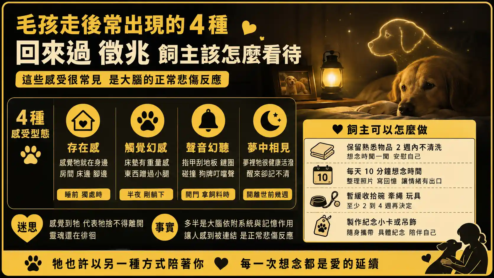 毛孩走後常出現的 4 種「回來過」徵兆，飼主該怎麼看待