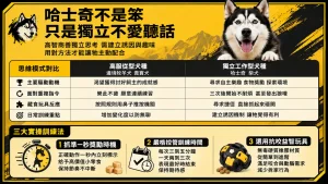 哈士奇真的很笨嗎？拆解「服從度排名」背後的獨立思考天性與訓練實操