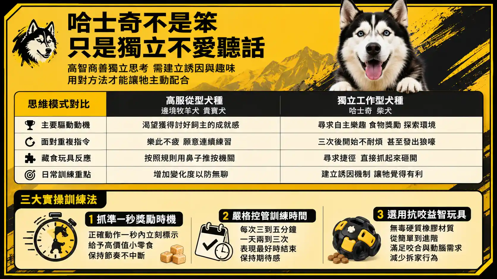 哈士奇真的很笨嗎？拆解「服從度排名」背後的獨立思考天性與訓練實操