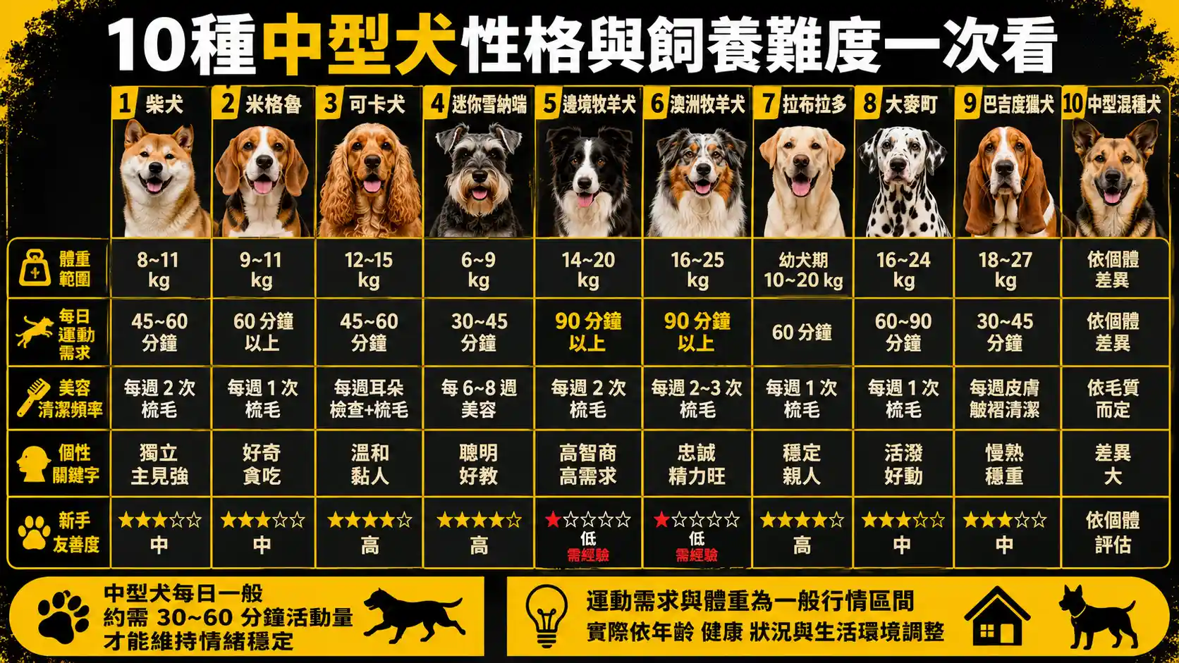 想養中型犬先看這篇：10 款性格、飼養難度、花費全比較