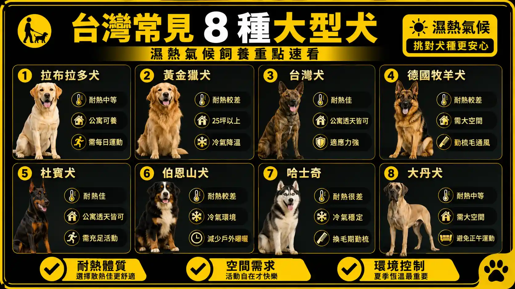 台灣常見 8 種大型犬的實際照顧差異