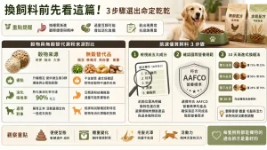 換飼料前先看這篇！穀物與無穀優缺點拆解，教你用 3 步驟選出命定乾乾