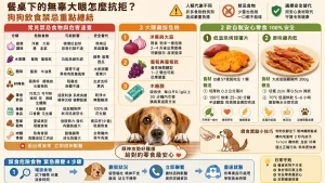 餐桌下的無辜大眼怎麼抗拒？狗狗飲食禁忌拆解：從致命清單到安全零食替換