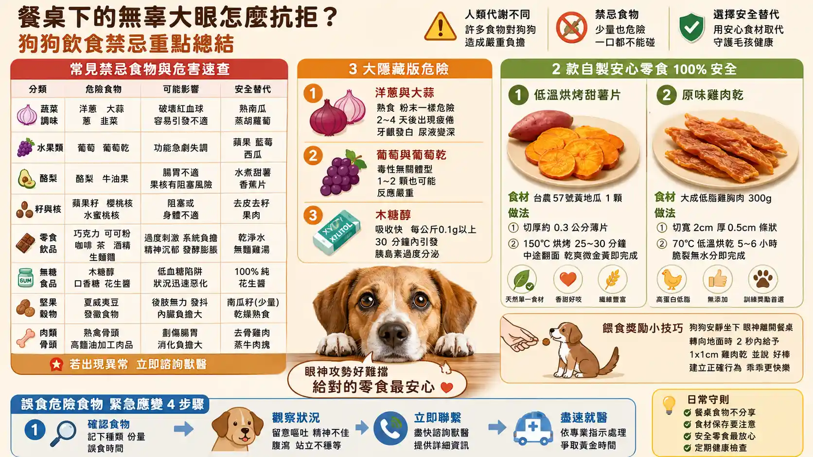 餐桌下的無辜大眼怎麼抗拒？狗狗飲食禁忌拆解：從致命清單到安全零食替換