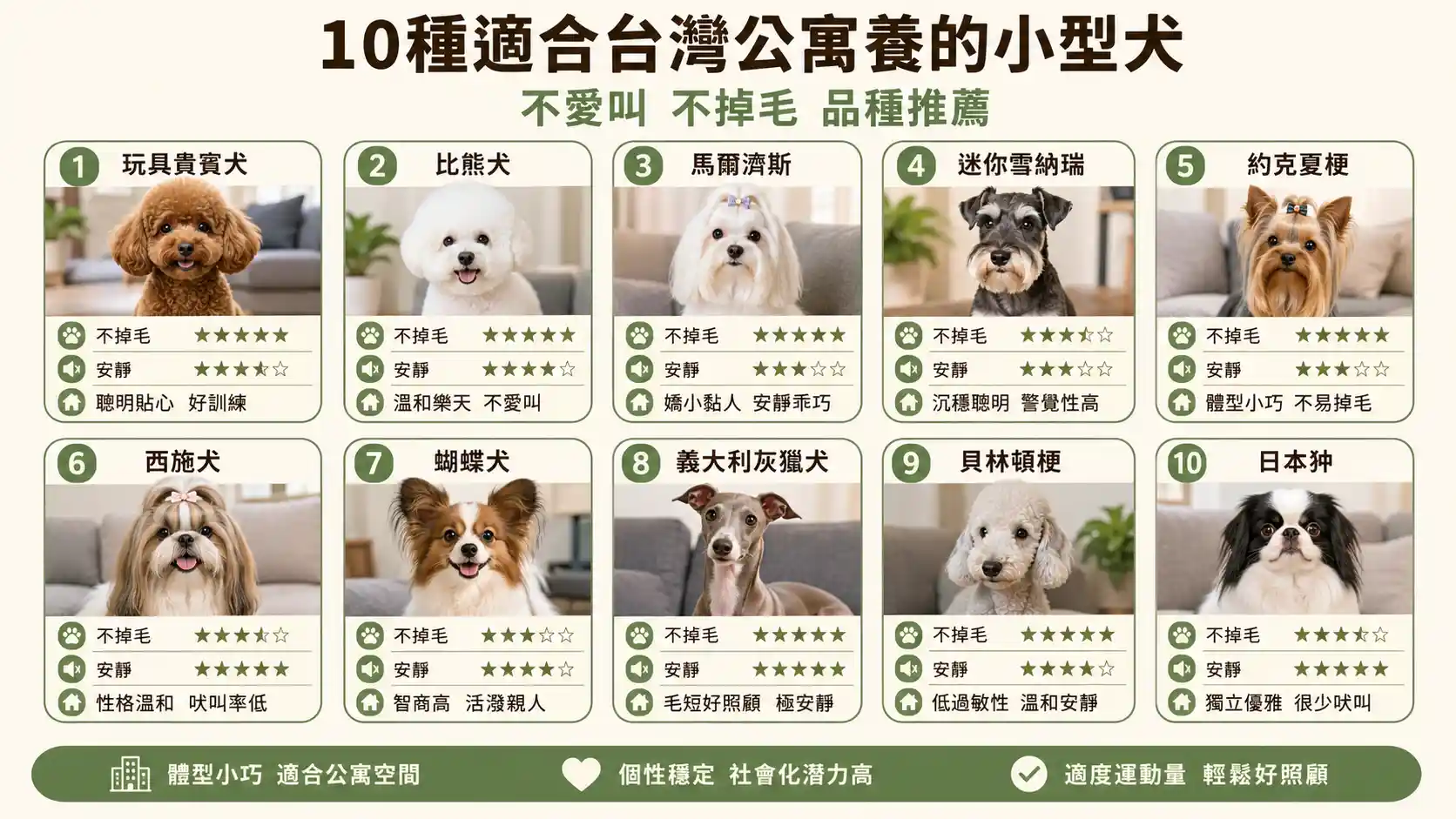 【小型犬懶人包】10種適合台灣公寓養的小型犬！不愛叫、不掉毛品種推薦