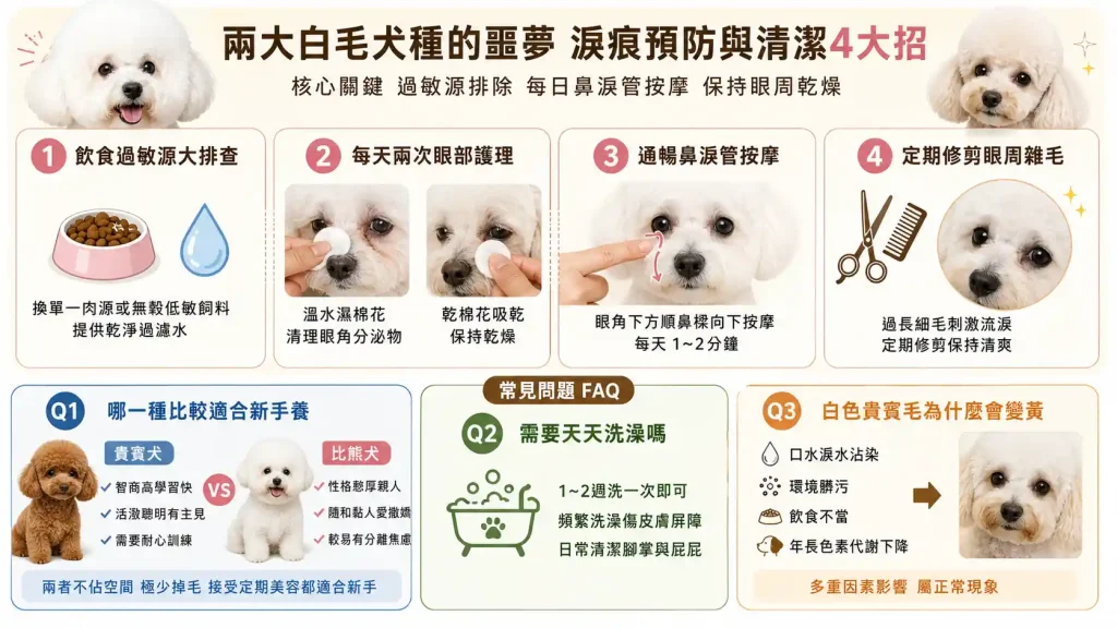 兩大白毛犬種的噩夢：淚痕預防與徹底清潔4大招