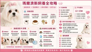 【瑪爾濟斯】瑪爾濟斯淚痕怎麼清？性格、壽命與新手飼養常見問題