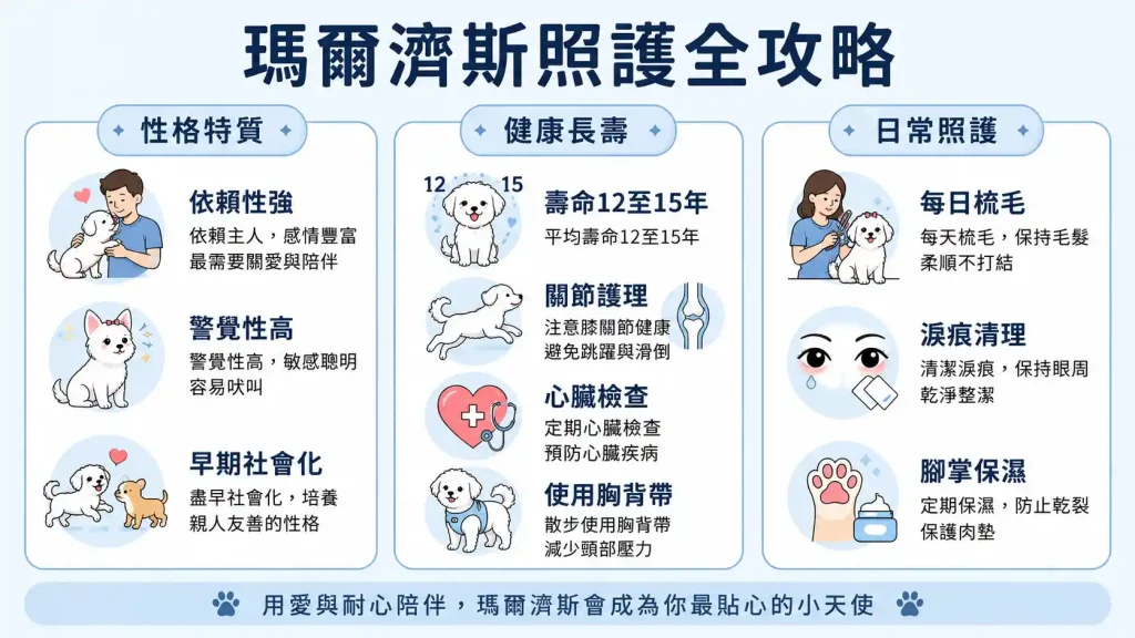 瑪爾濟斯性格大解析：是傲嬌公主還是黏人小天使？