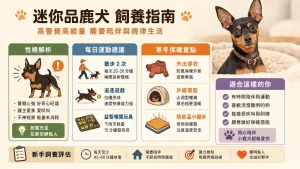 迷你品鹿犬會很神經質嗎？運動量、寒冬保暖與新手飼養評估指南