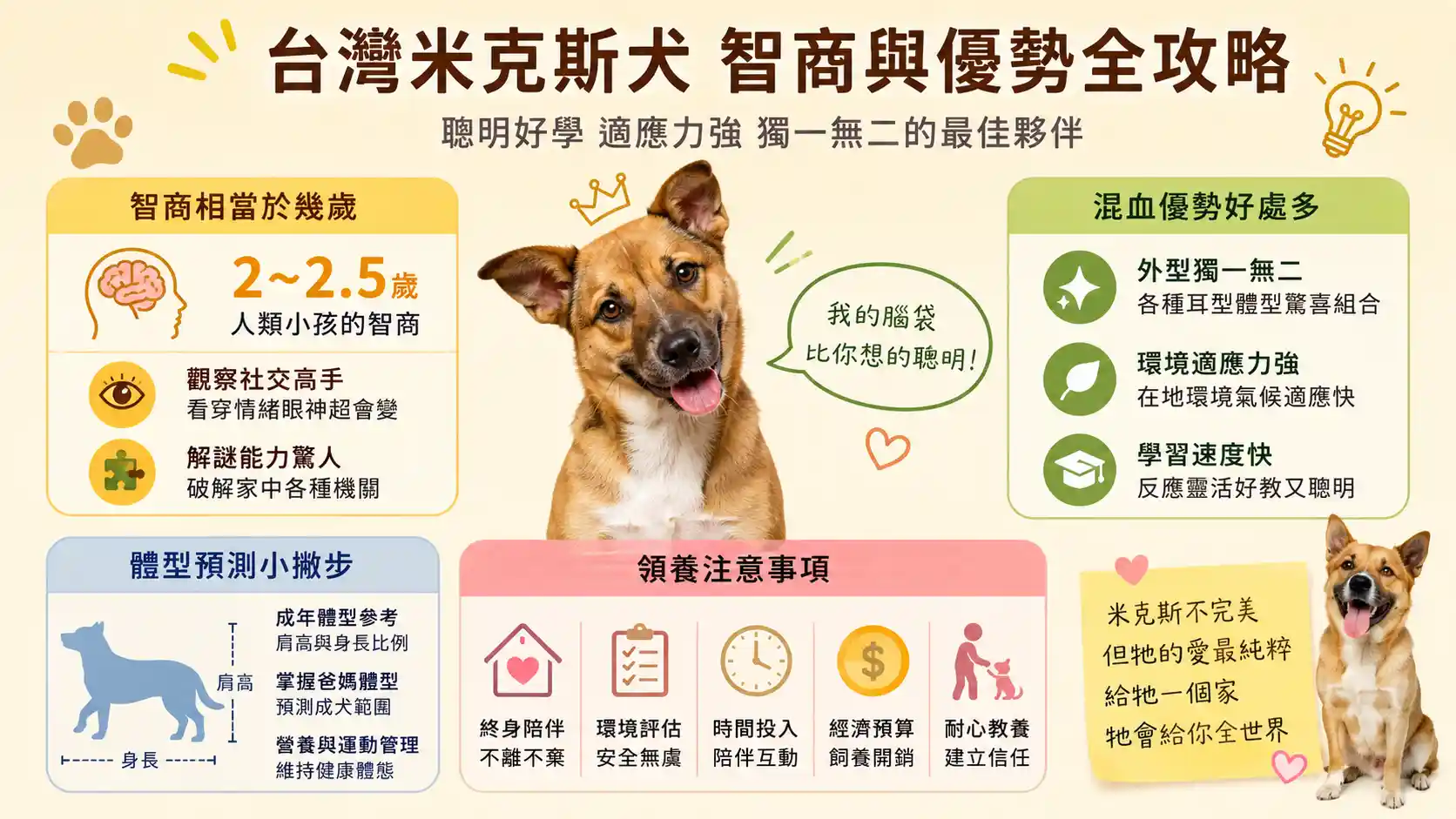 台灣米克斯犬智商相當於幾歲？混血優勢、體型預測與領養注意事項