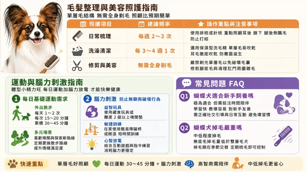毛髮整理與美容照護指南