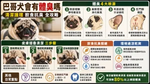 巴哥犬會有體臭嗎？皮膚摺疊清潔、呼吸道照護與飲食抗臭全攻略