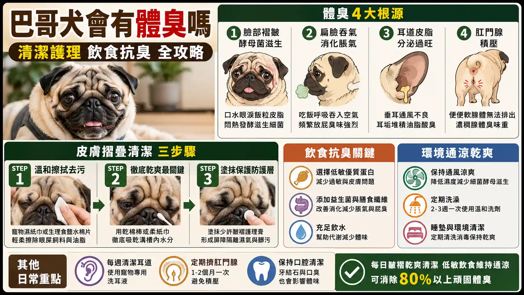 巴哥犬會有體臭嗎？皮膚摺疊清潔、呼吸道照護與飲食抗臭全攻略