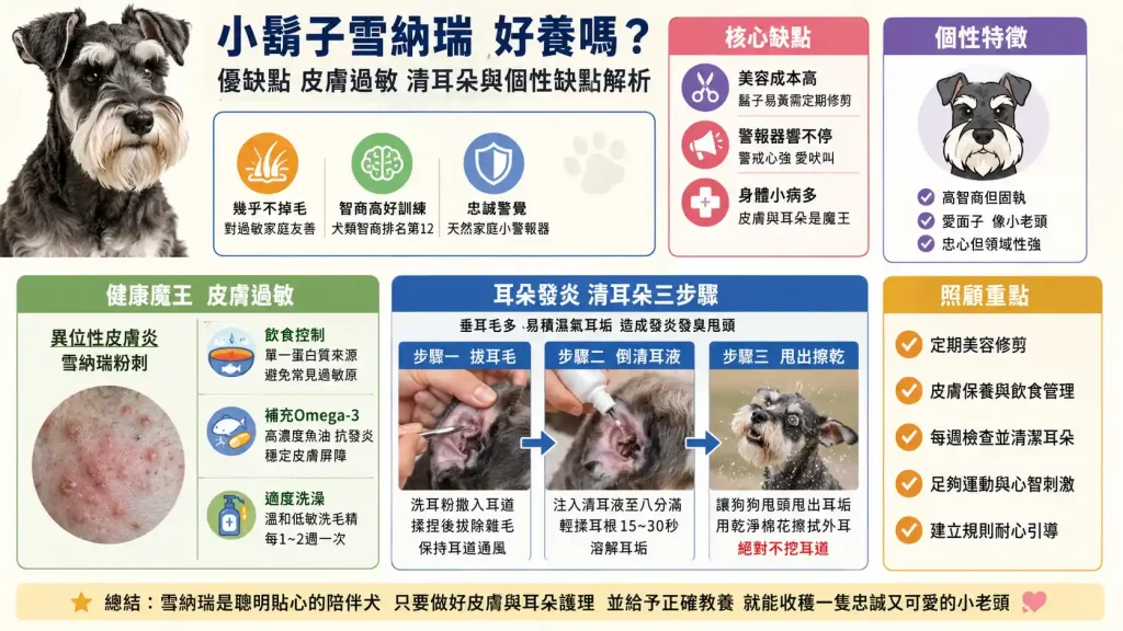 小鬍子雪納瑞好養嗎？皮膚過敏、清耳朵與個性缺點解析