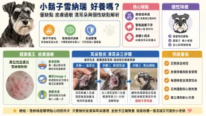 小鬍子雪納瑞好養嗎？皮膚過敏、清耳朵與個性缺點解析