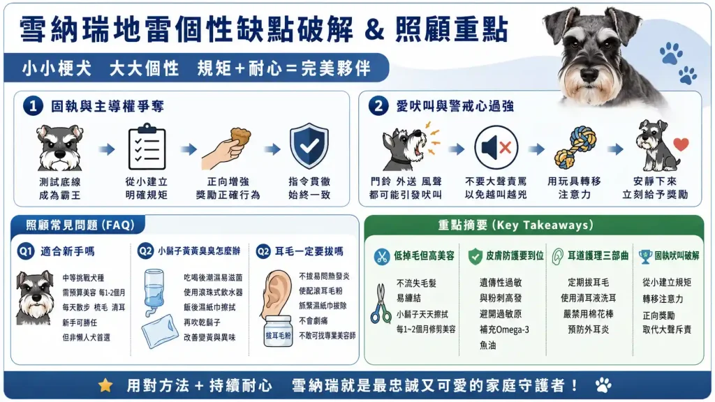 雪納瑞地雷個性缺點：固執與愛吠叫如何破解？