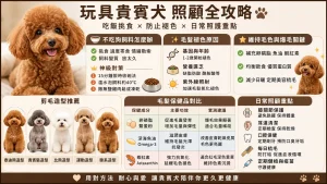 【玩具貴賓犬】貴賓犬不吃狗飼料怎麼辦？褪色原因、剪毛造型與照顧全攻略