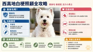 西高地白梗掉毛嗎？性格特質、皮膚保養與照顧注意事項全攻略
